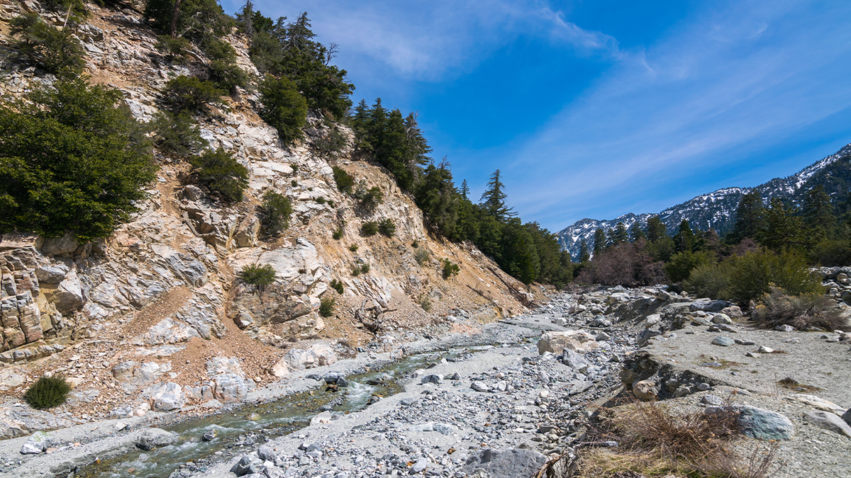 View of San Bernardino National Forest