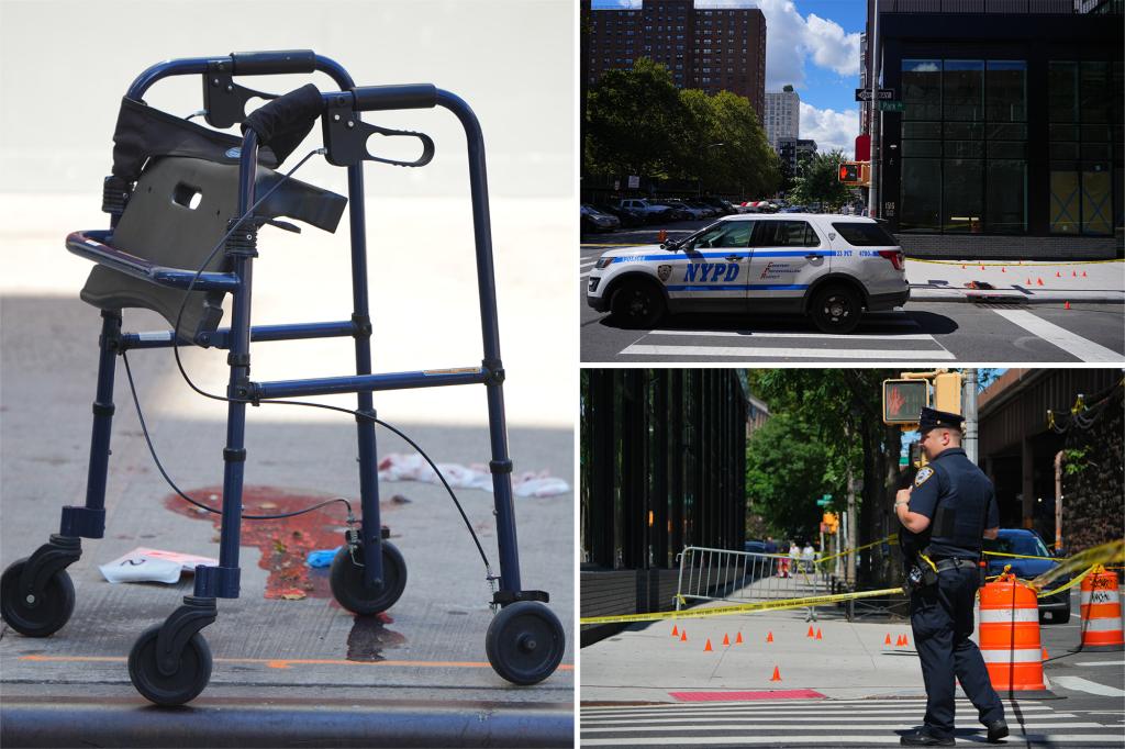 Walker-using woman, 69, shot in face and killed by stray bullet in NYC: cops and sources