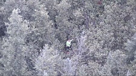 YouTube survival show contestant rescued in densely wooded Michigan area