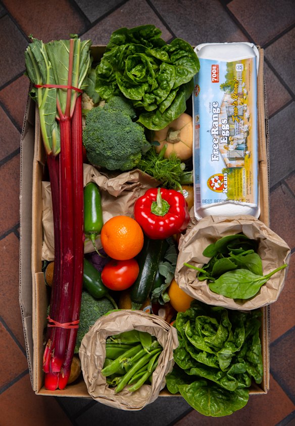 A week’s worth of produce from Box Divvy. This costs $62.13.