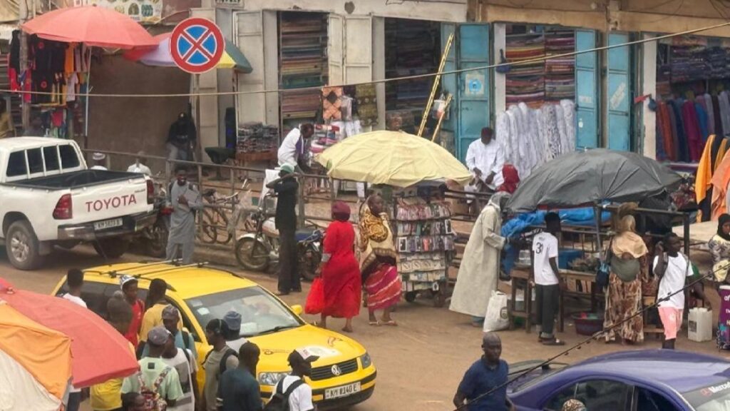 ‘Cut in secret’: Gambia anti-FGM activists fear babies targeted despite ban