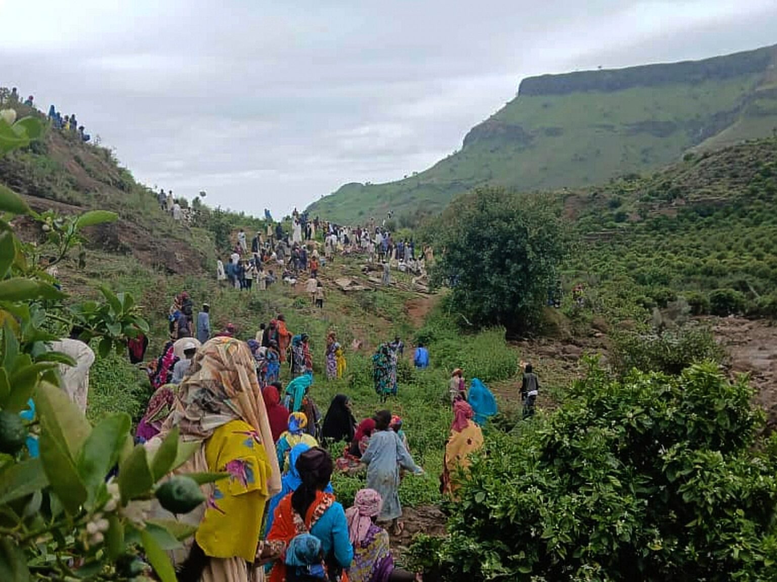 Sudan appeals for aid after landslide kills more than 1,000 in Darfur