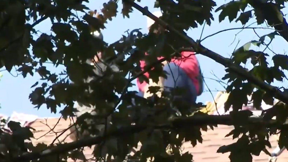 Roofers sit atop a home in Rochester, N.Y., Tuesday, where federal immigration agents were conducting an operation.