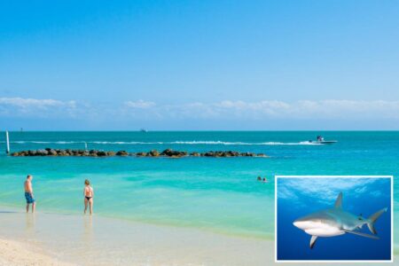 Shark attacks 8-year-old boy spearfishing in Florida Keys leaving him seriously injured with ‘significant’ blood loss