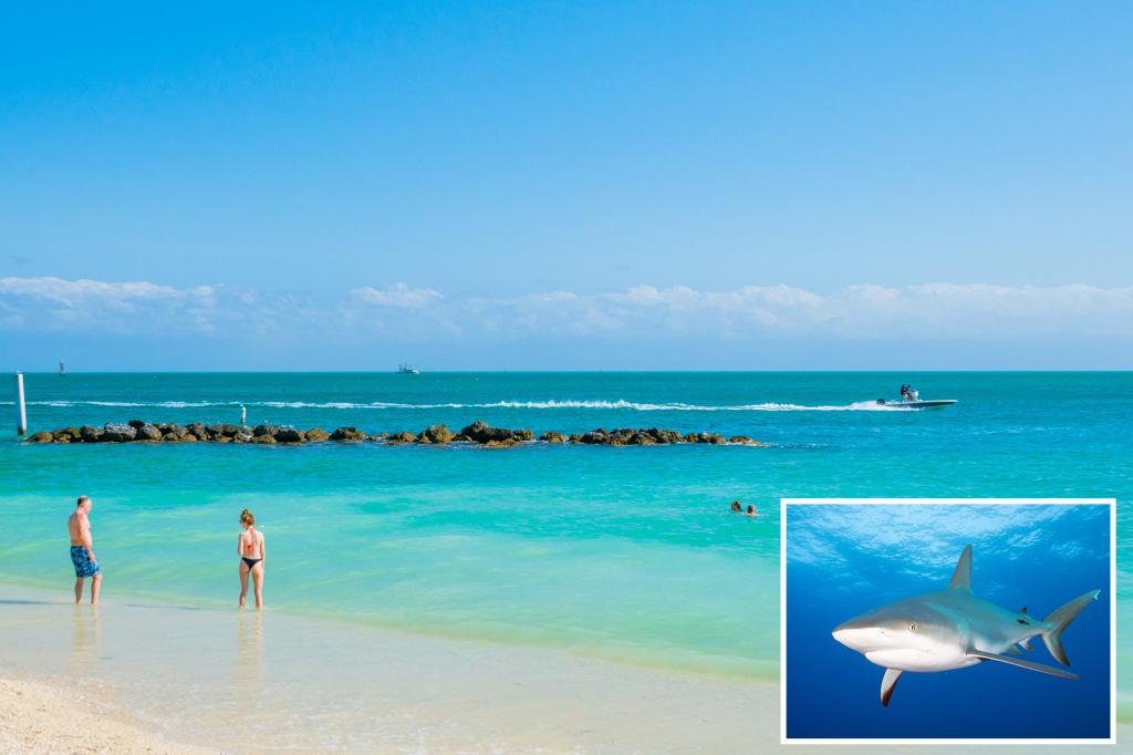 Shark attacks 8-year-old boy spearfishing in Florida Keys leaving him seriously injured with ‘significant’ blood loss