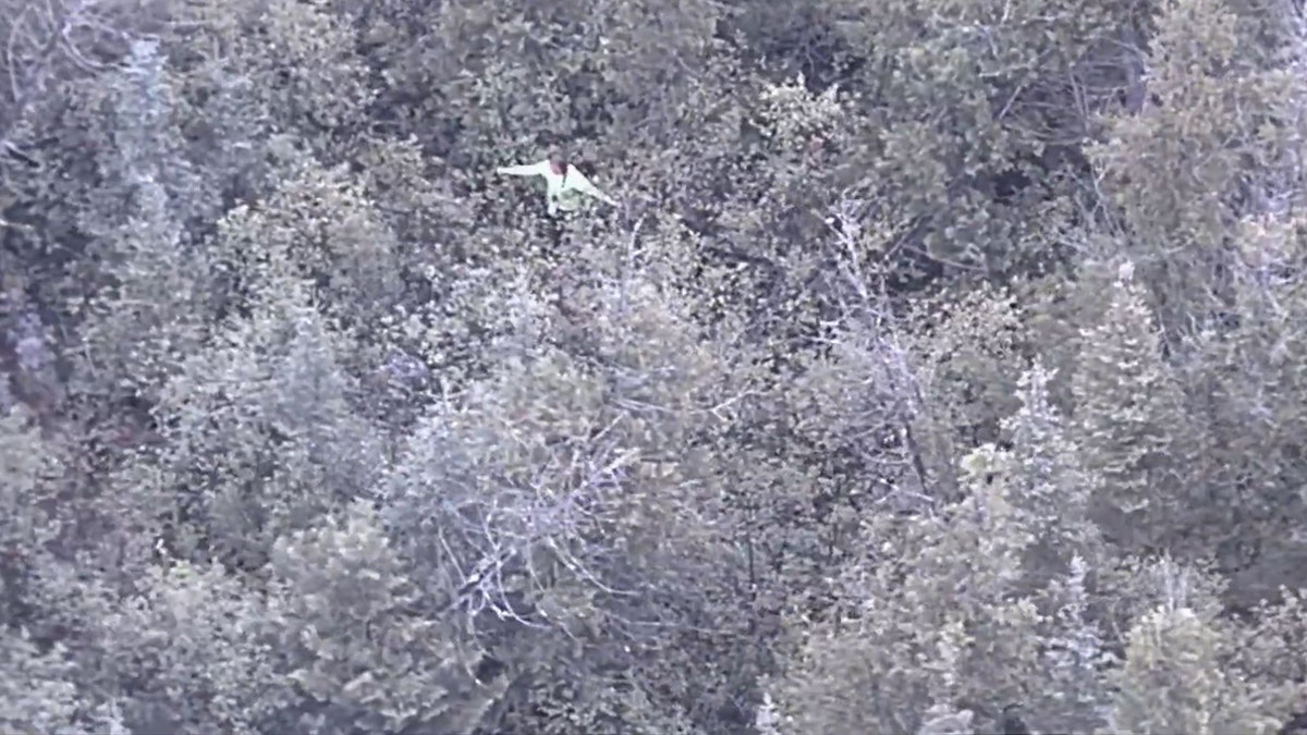 missing woman in dense forest waving up at helicopter
