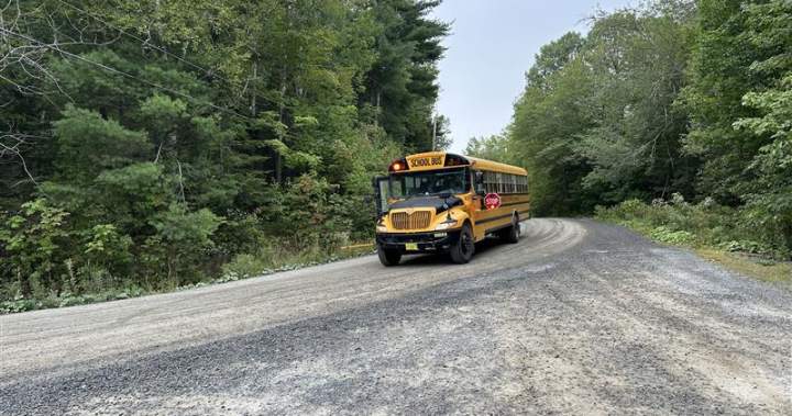 ‘Most dangerous turn’: Parents in rural N.S. worried about new school bus stop