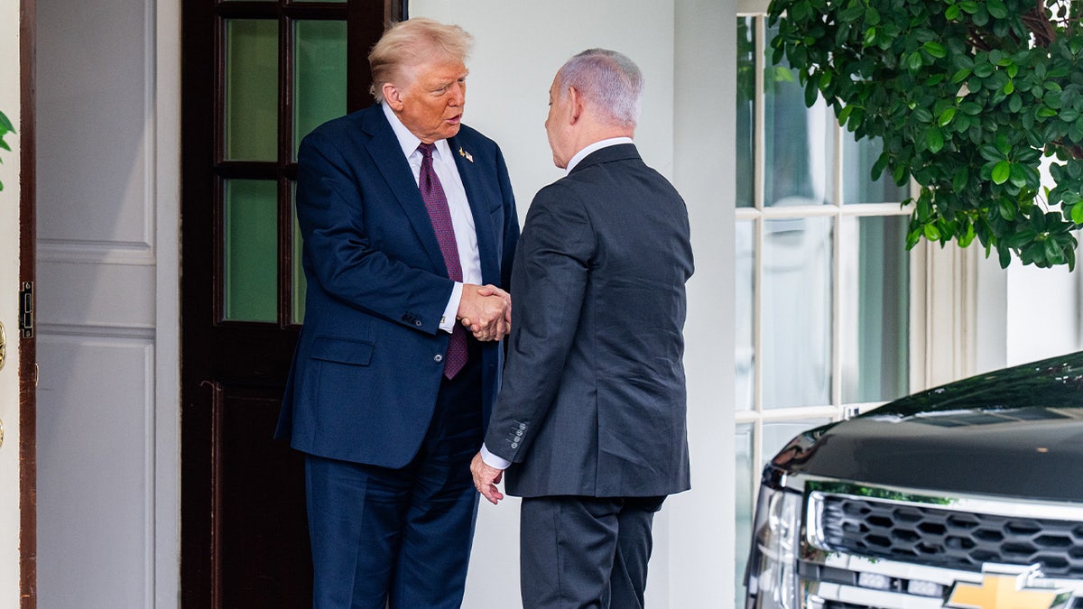 Trump and Netanyahu shake hands 