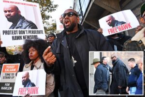NY BLM leader Hawk Newsome rants about ‘black faces of oppression’ as he is charged with assaulting black man