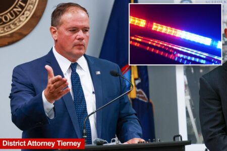 Immigrant charged with killing Long Island pedestrian in hit-and-run tragedy now faces deportation