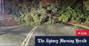 Schools across Brisbane remain shut; Crews continue storm clean-up, thousands still without power