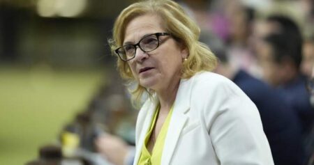 Immigration minister says bill’s trigger for new powers intentionally vague