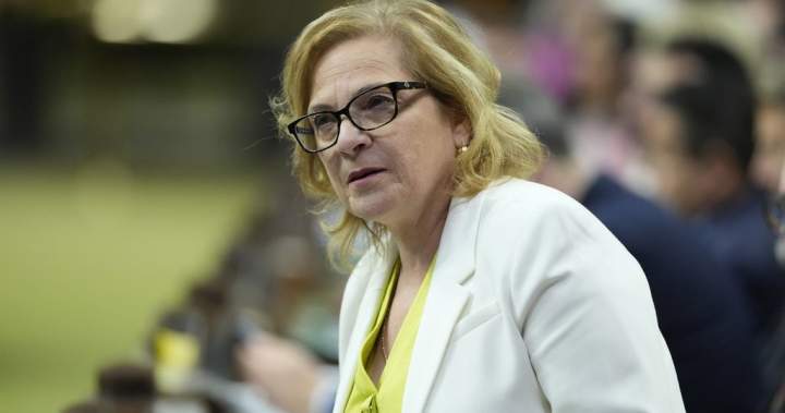 Immigration minister says bill’s trigger for new powers intentionally vague