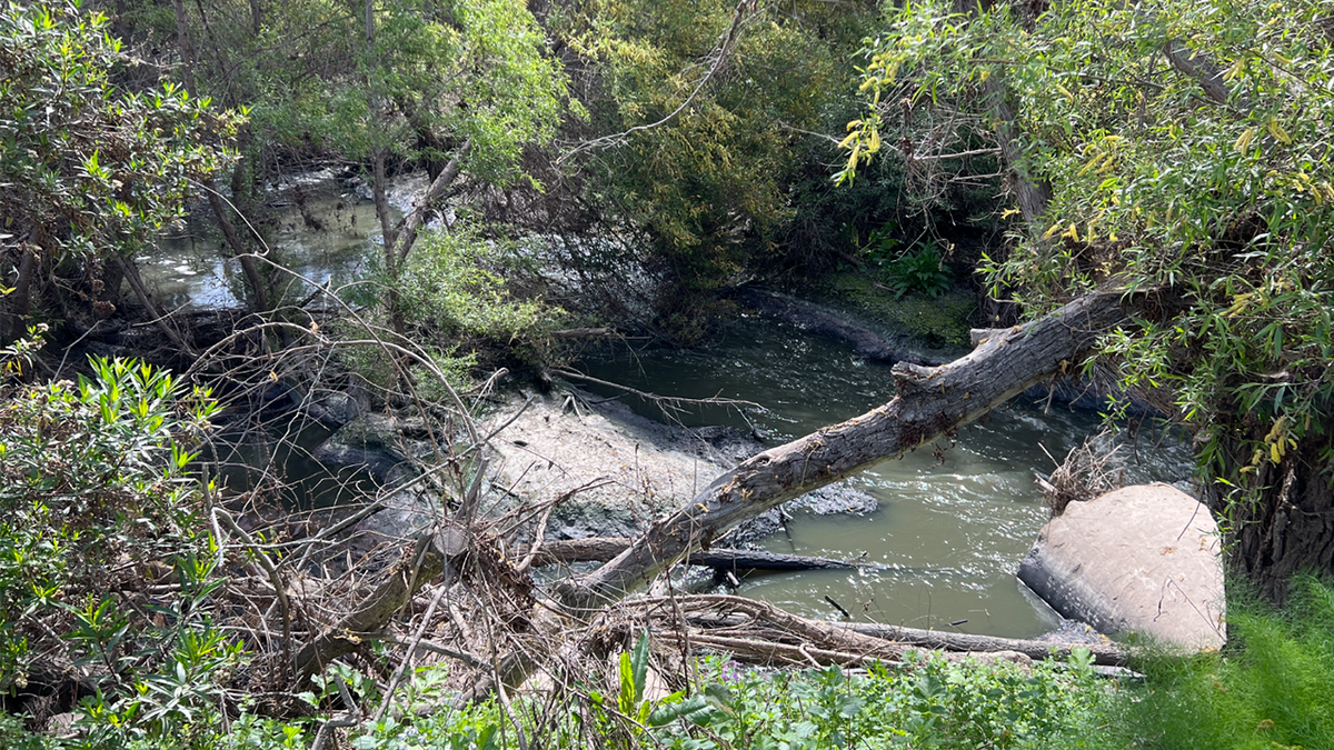 Footage of raw sewage flowing into San Diego