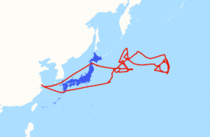 Map Shows China Sending Ships Around US Ally