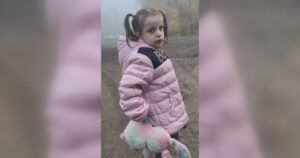 After daughter attacked by dogs, Alberta mother calls on First Nation for regulations