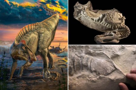 Spooky dinosaur mummies teach scientists what prehistoric creatures may have looked like