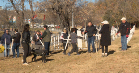 Field of Crosses welcoming students despite Alberta teacher strike