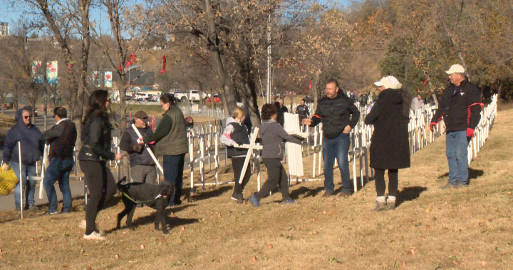 Field of Crosses welcoming students despite Alberta teacher strike