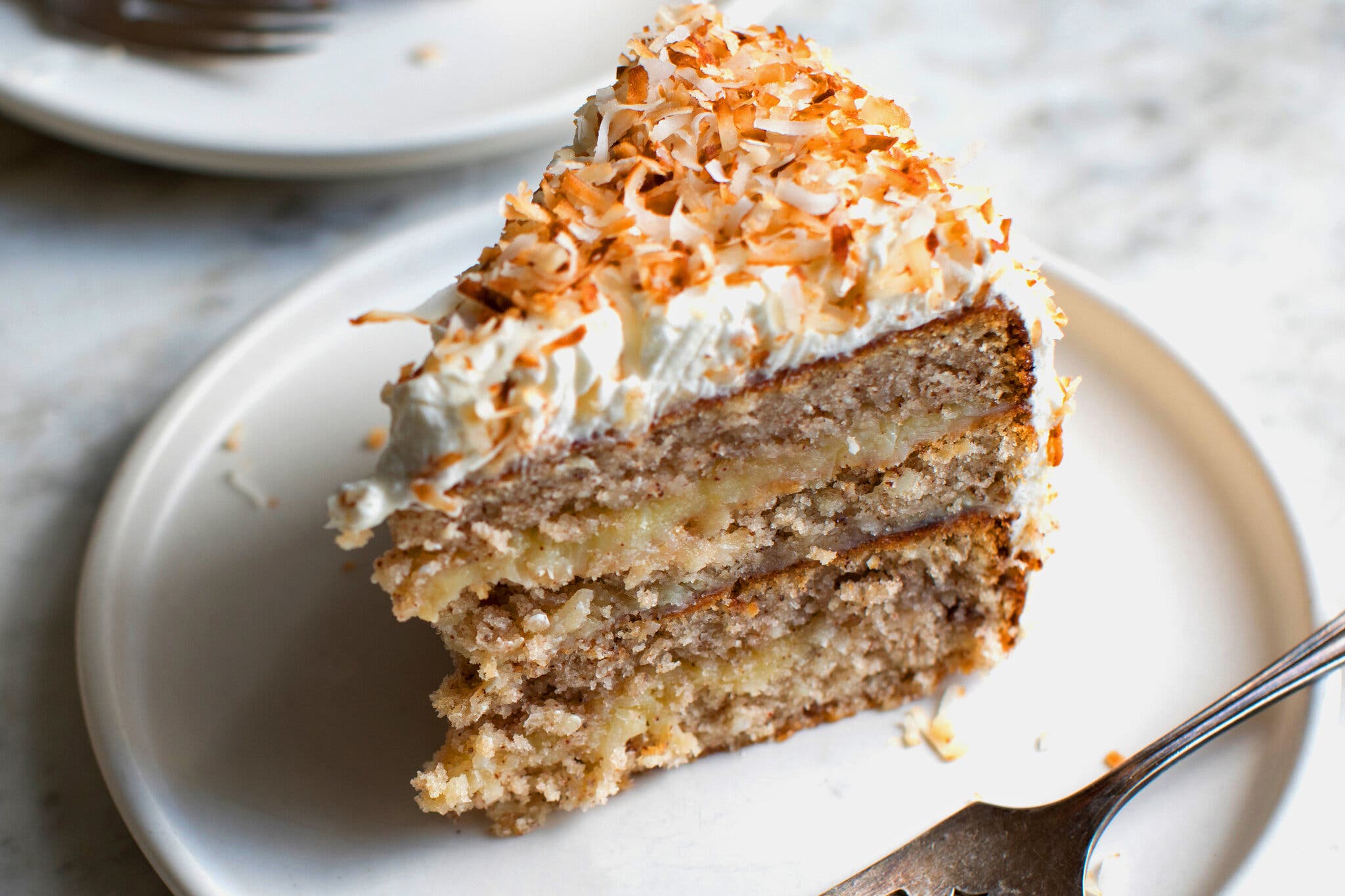 A white plate topped with a layered slice of coconut pecan cake, finished with toasted shredded coconut, sits on a gray marbled countertop. A metal fork sits on the edge of the plate.