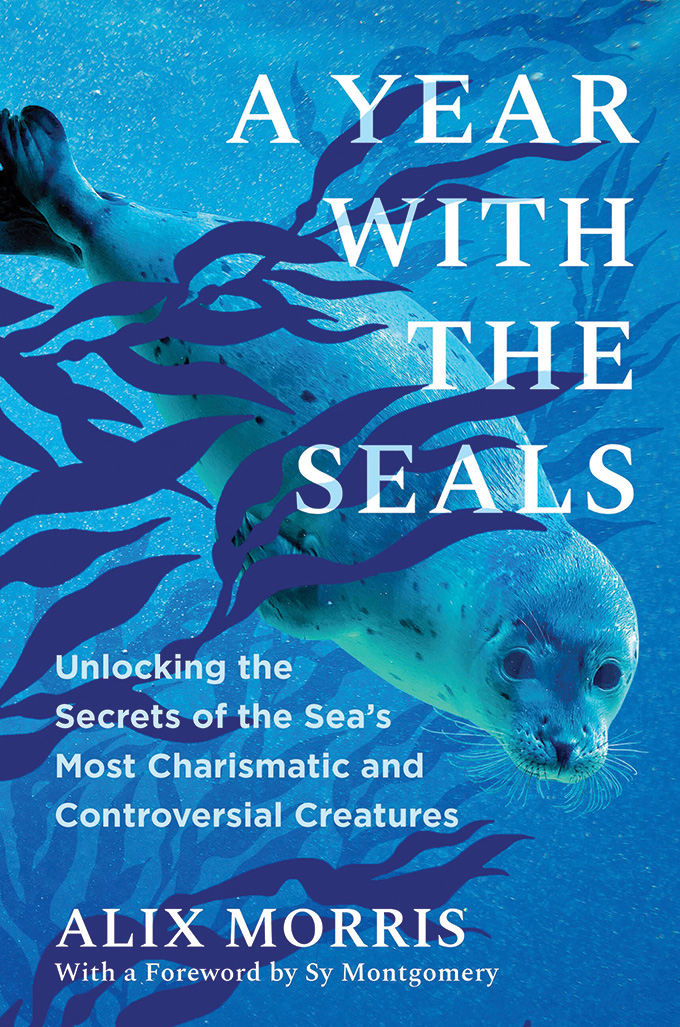 The book cover of A Year With the Seals, showing a seal swimming among seaweed.
