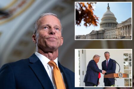 Senate majority leader says he doesn’t have the votes to eliminate filibuster despite Trump’s wishes