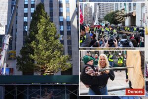 Rockefeller Center Christmas tree honoring donor’s late husband lifted into place as awed crowd looks on