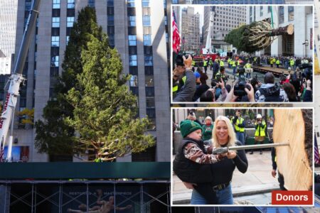 Rockefeller Center Christmas tree honoring donor’s late husband lifted into place as awed crowd looks on