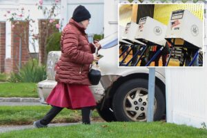 Strange new twist in case of Long Island granny who claims she didn’t know she ran for office: ‘We’re proud of her’