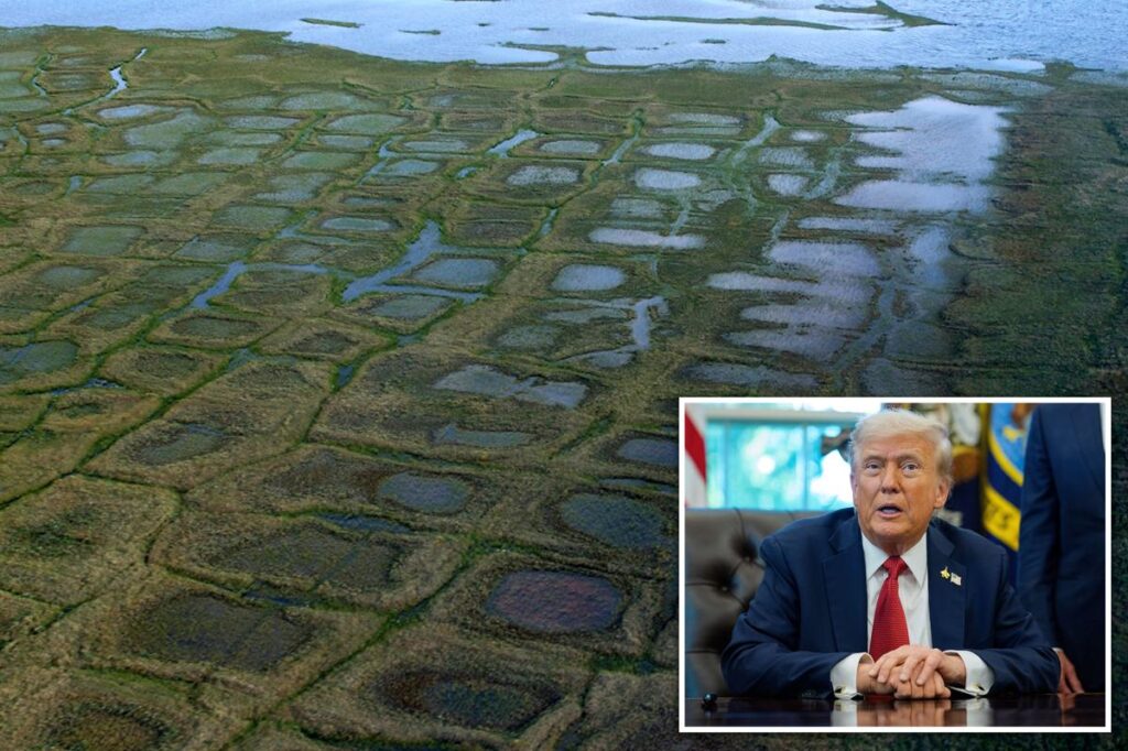 Congress passes measure to reverse Biden-era Alaskan petroleum reserve plan