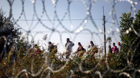 Not engaging with Taliban isn't an option, Migration Commissioner says