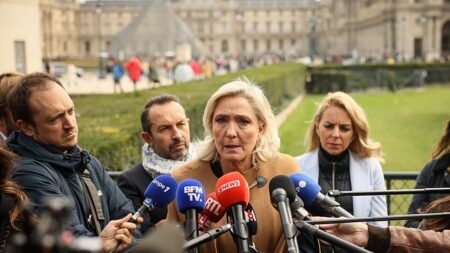 Fact check: Has Marine Le Pen's appeal been denied?