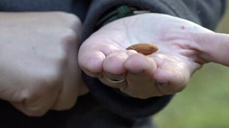 California farmers push back on Prop 50 as Democrats eye new House map