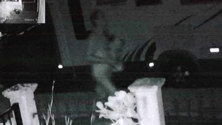 Crystal Beale’s final moments revealed before her body was found in Brisbane River