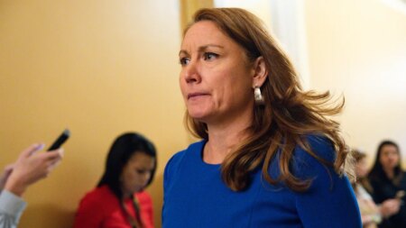 Democrat lawmaker blasts Senate colleagues for caving in shutdown deal