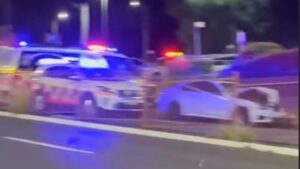 P-plater charged after fatal Hornsby crash involving pregnant woman