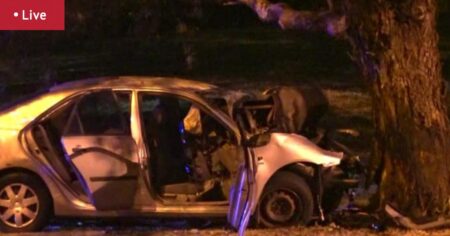 Man rushed to hospital after car crashes into tree at Herdsman Lake