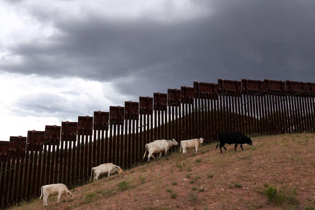 Trump Admin Says Beef Prices Could Hit $10 per Pound Because of Migrants
