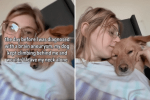 Woman Notices Dog Acting Strange, Next Day She Gets Life-Changing Diagnosis