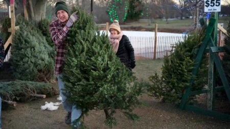'Too early for Christmas'? Americans clash as stores push holiday tree sales