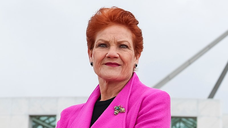 One Nation leader Pauline Hanson is releasing an animated movie which she wants to play on streaming service Netfli