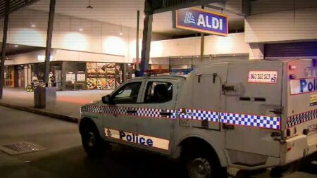 Family’s grief over teenager’s murder of grandmother