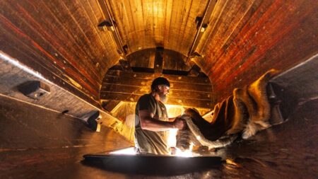 The Age photos of the week, November 8, 2025