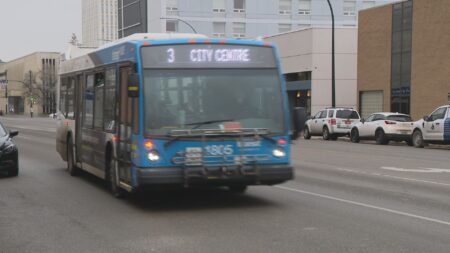 Saskatoon residents eager for Link bus developments, others express concern