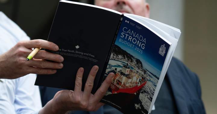 Here are 6 things you might have missed in Budget 2025