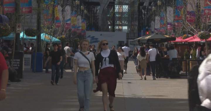 Calgarians optimistic about city’s future, question value for tax dollars ahead of budget