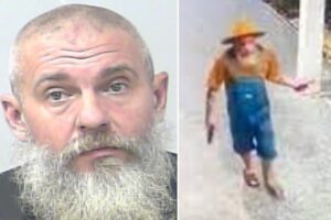 Florida man ‘Farmer Pete’ allegedly opens fire at bar over how many eggs a chicken can lay