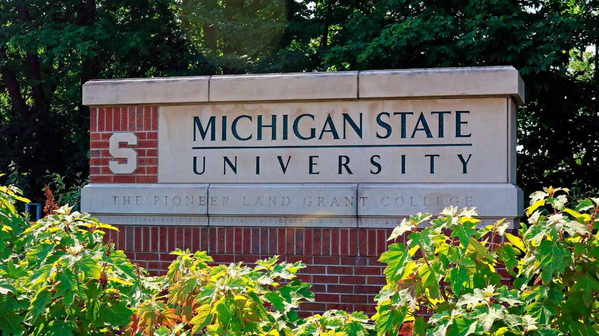 Michigan State