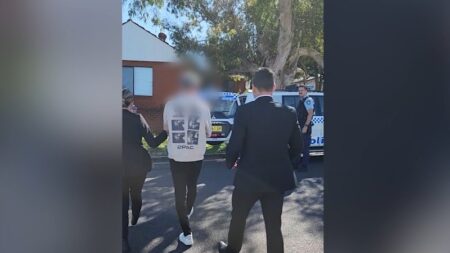 Man charged with murder after Sydney woman dies from alleged abuse injuries