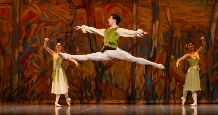 ‘Huge relief’: Ballet company’s Nutcracker set pieces recovered after stolen truck found